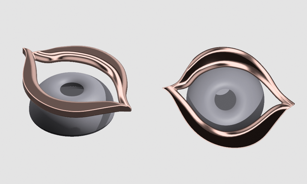 SEEN: wearable camera